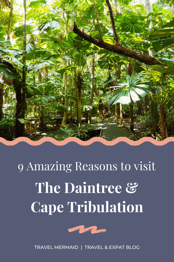 9 Amazing Reasons to Visit the Daintree Rainforest & Cape Tribulation, Australia // Travel Mermaid