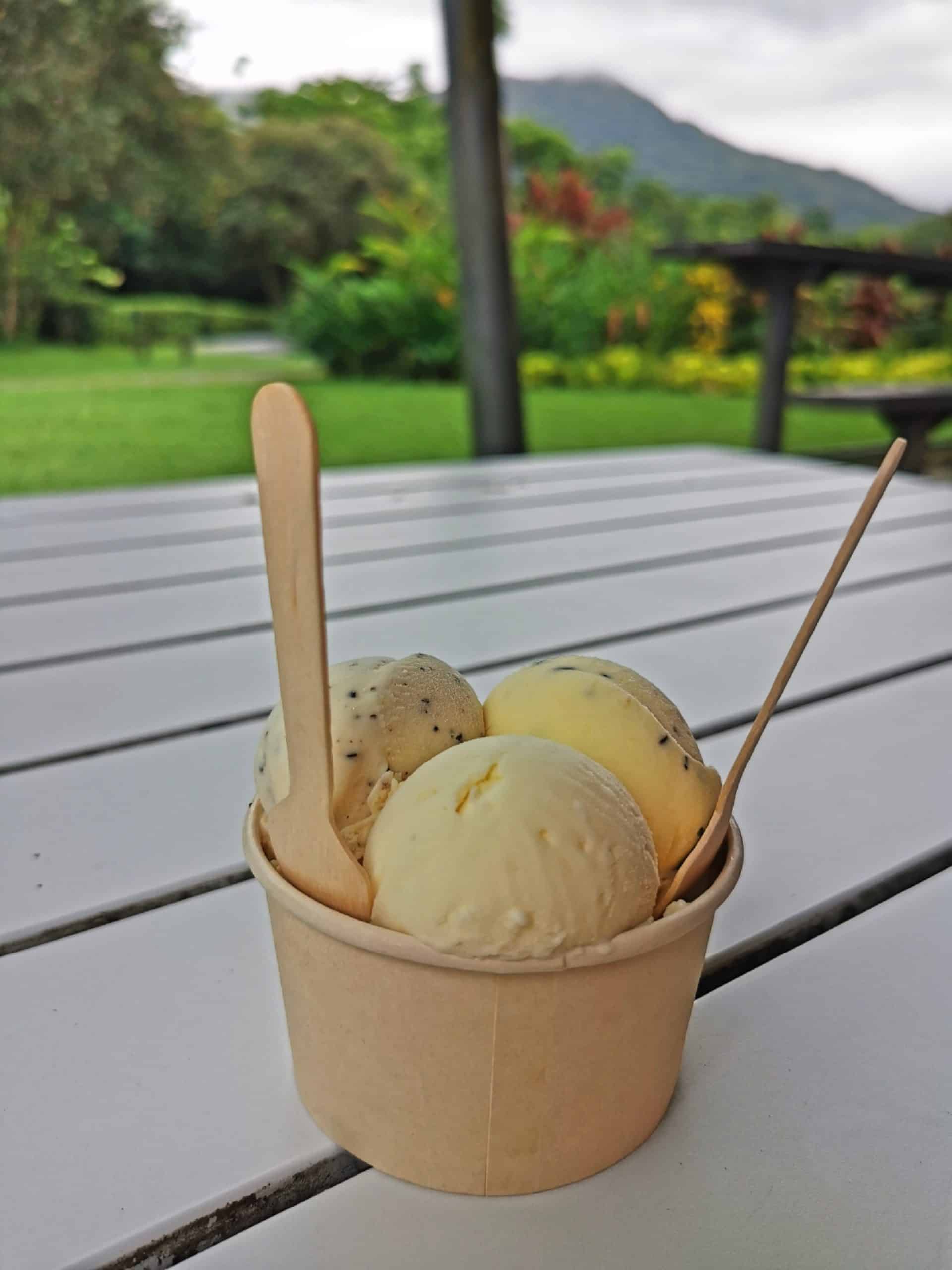 At the Daintree Ice Cream Company in Far North Queensland // Travel Mermaid