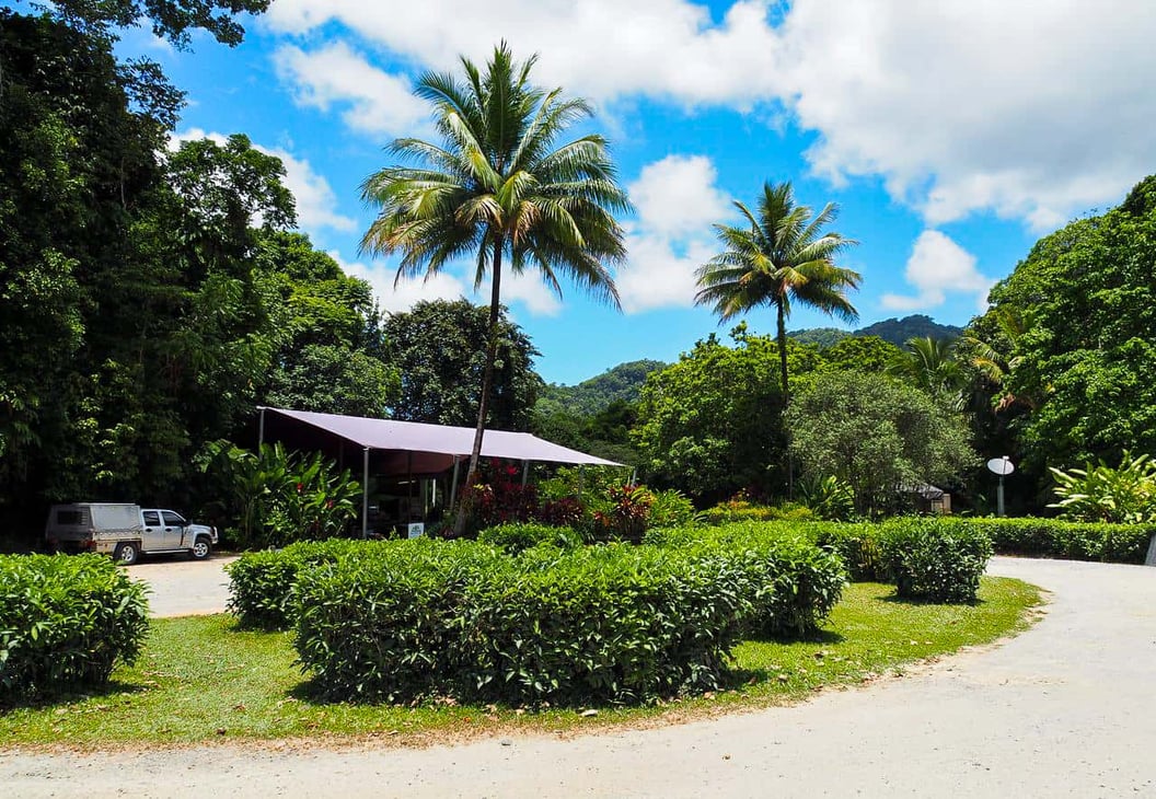 The Daintree Ice-Cream Co, Far North Queensland- Australia // Travel Mermaid