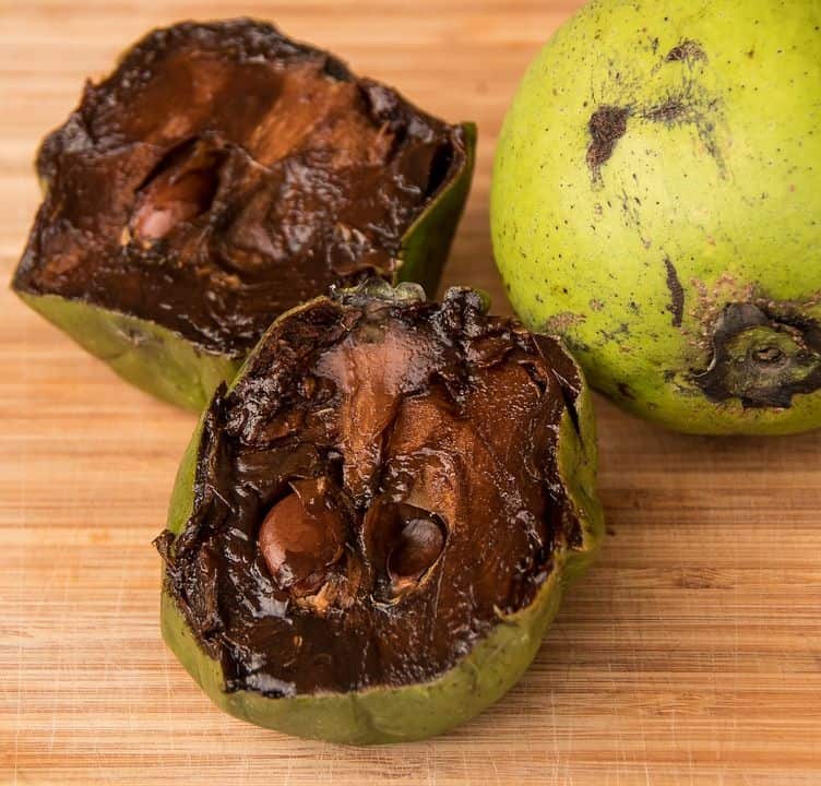 Black Sapote, aka chocolate pudding fruit from Cape Trib Exotic Fruit Farm, Australia // Travel Mermaid