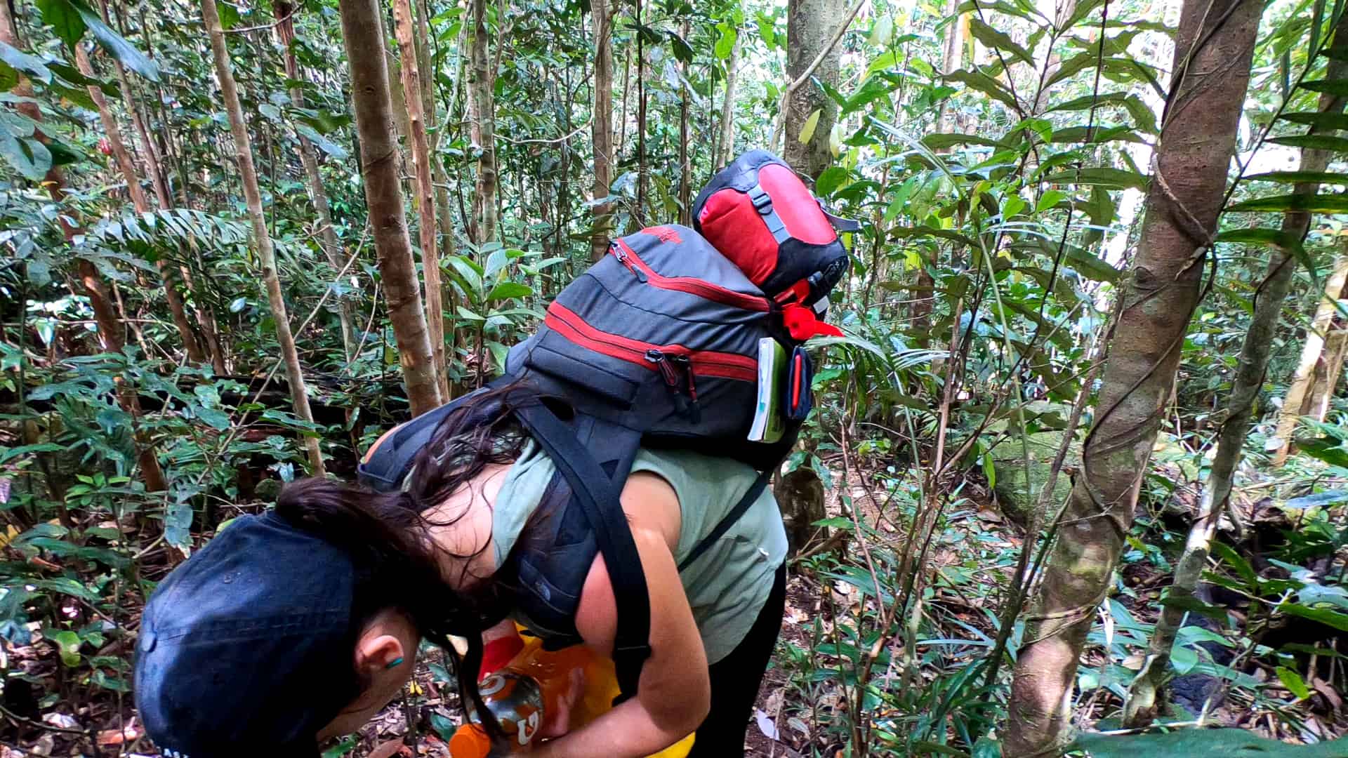 The climb up Mount BArtle Frere is exhausting! // Travel Mermaid