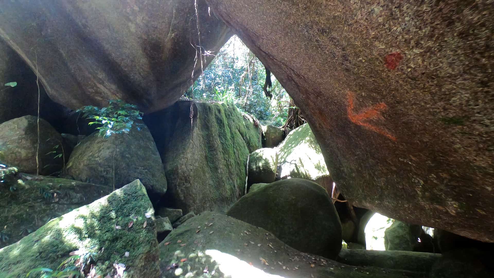 Boulders along the Western Trail at Mount Bartle Frere, Queensland, Australia // Travel Mermaid