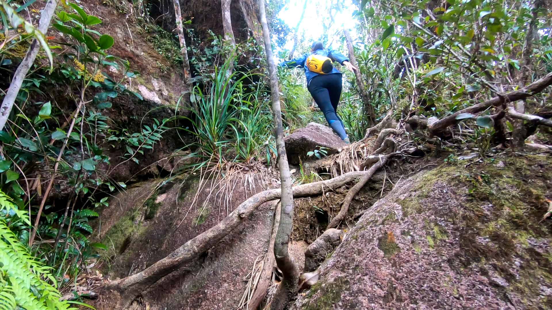 Climbing over boulders along the Western Trail at Mount Bartle Frere, Queensland, Australia // Travel Mermaid