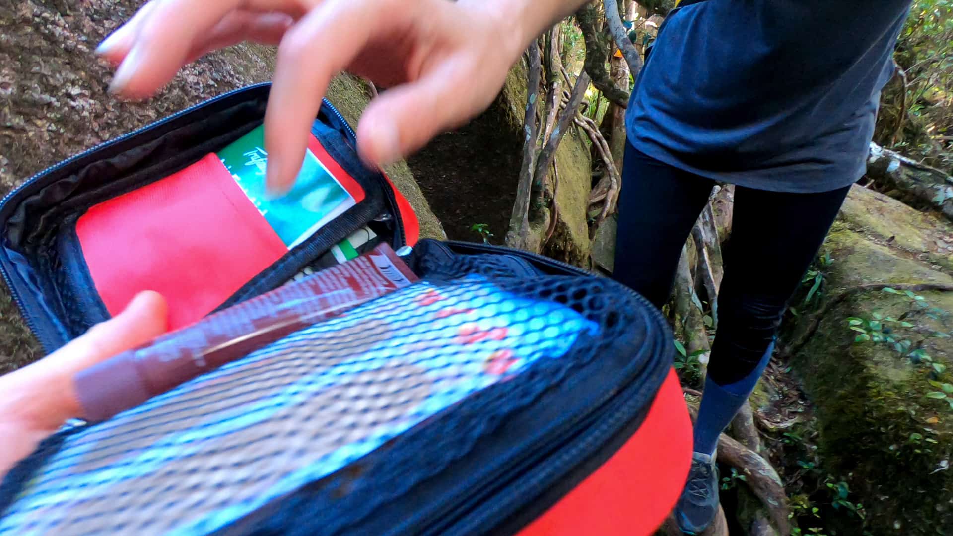 Essential First Aid Kit along the Mount Bartle Frere trail, Australia // Travel Mermaid