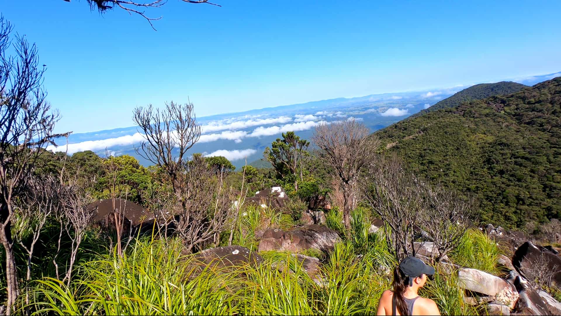 Views near Mount Bartle Frere summit along the Western Trail, Australia // Travel Mermaid