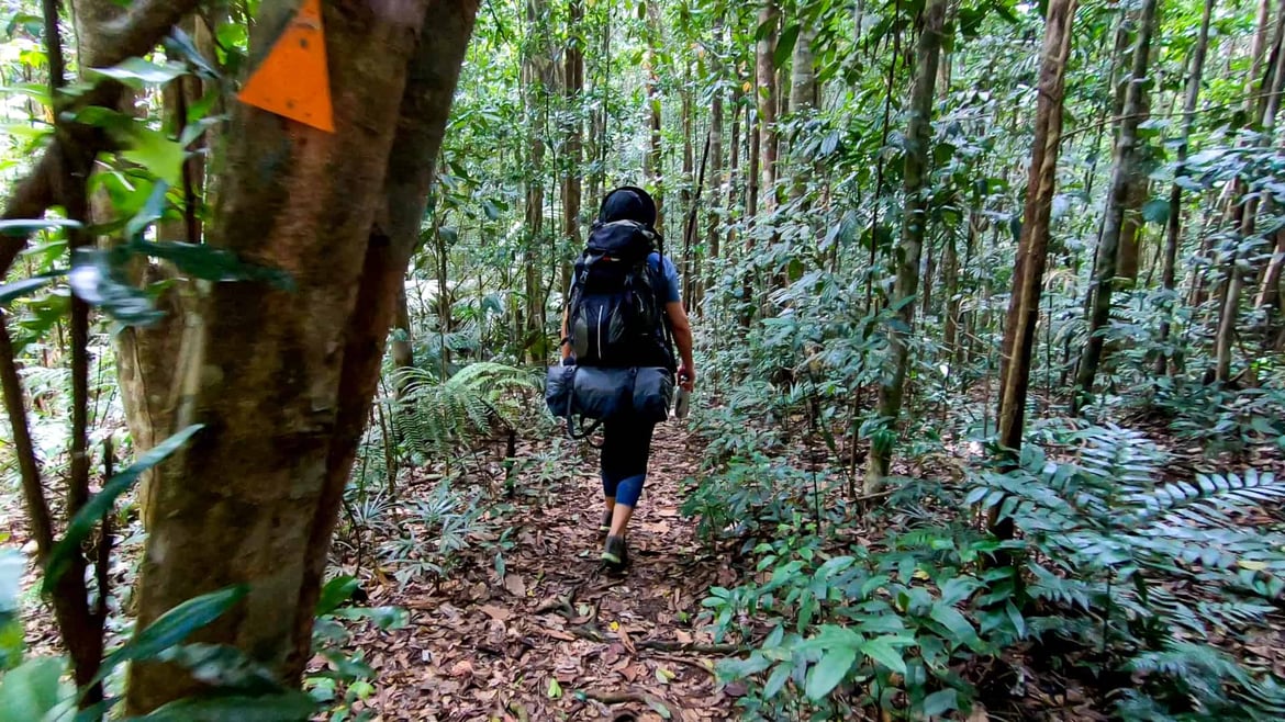 Hiking up Mount Bartle Frere // Travel Mermaid