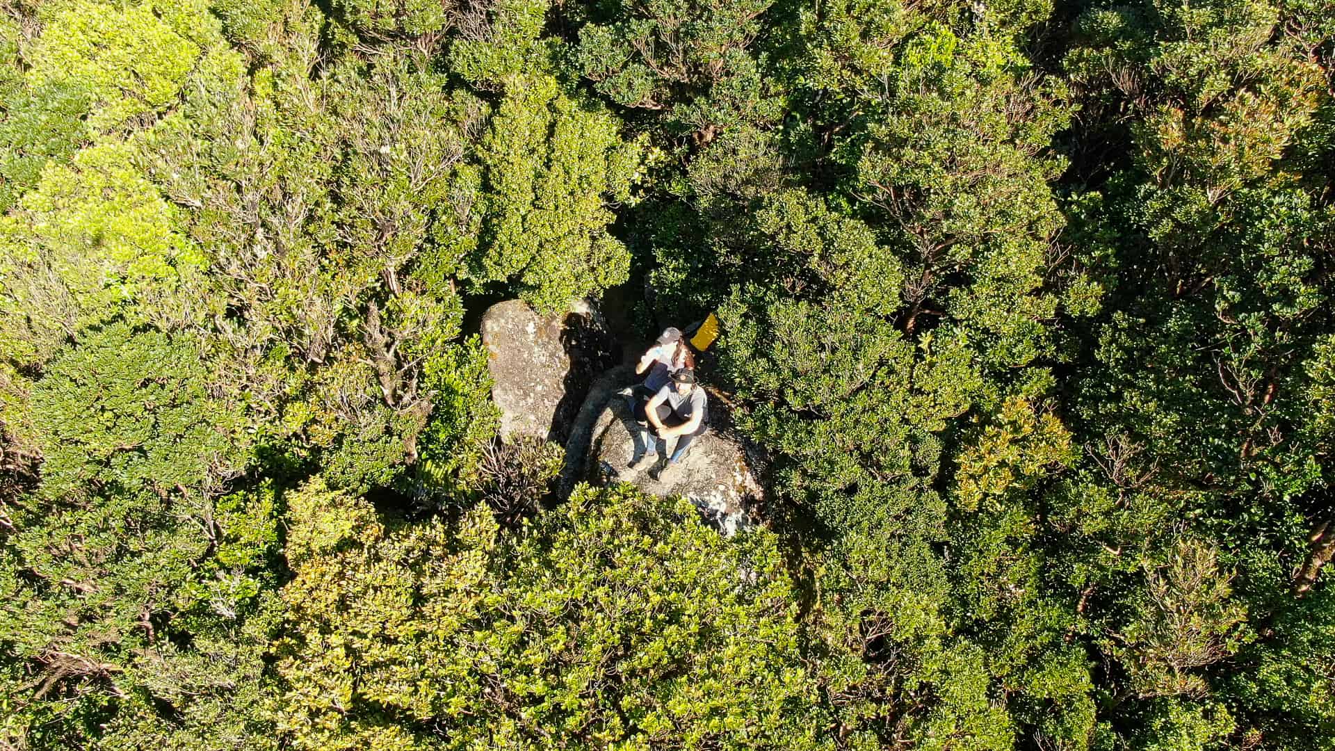 Drone shot from the top of Mount Bartle Frere summit in Far North Queensland, Australia // Travel Mermaid