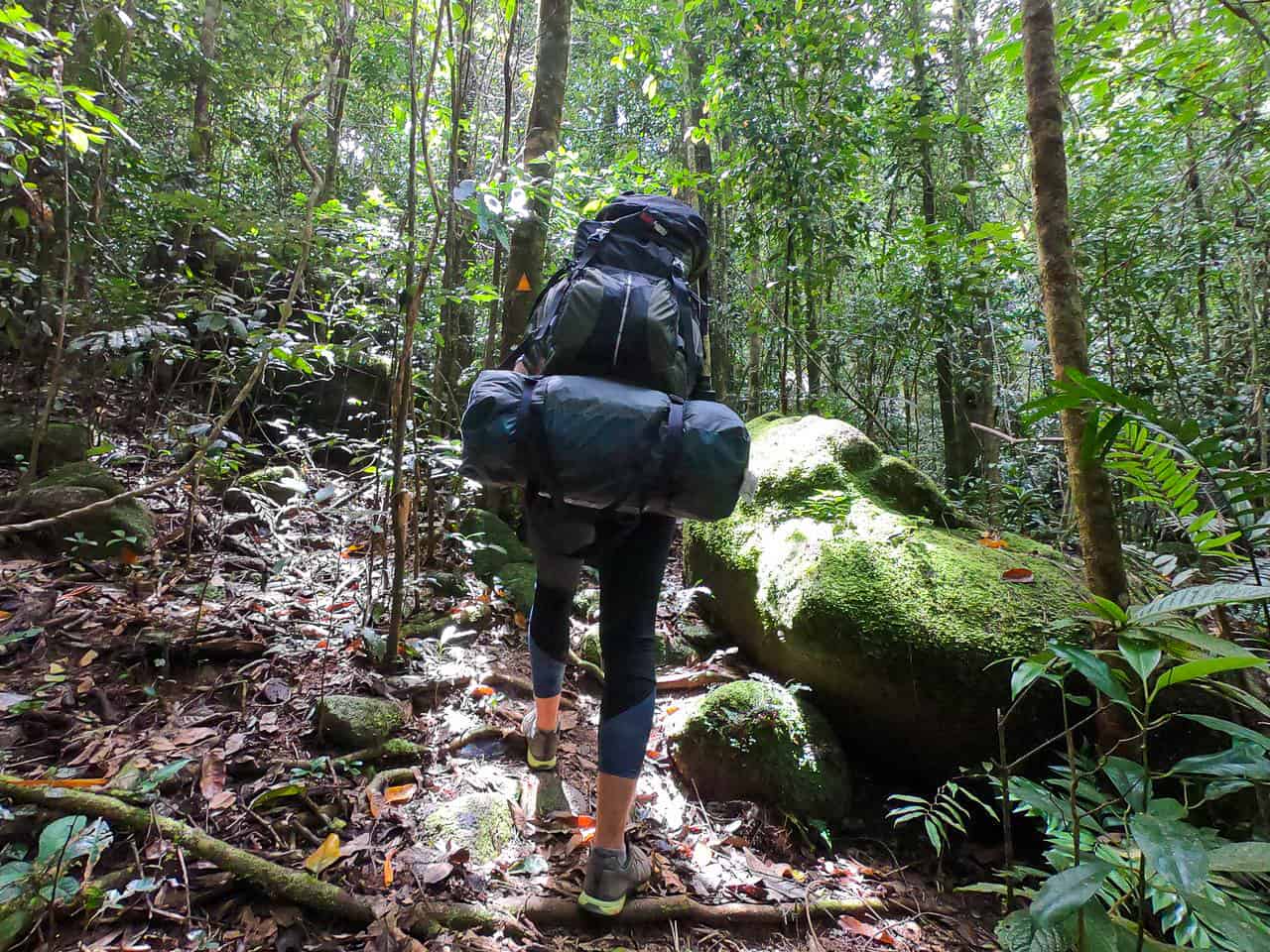 Hiking along the Western Trail at Mount Bartle Frere, Australia // Travel Mermaid