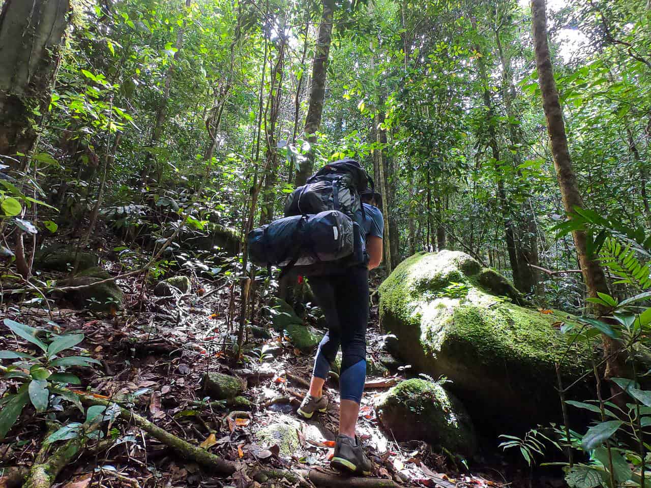 Hiking along the Western Trail at Mount Bartle Frere, Australia // Travel Mermaid