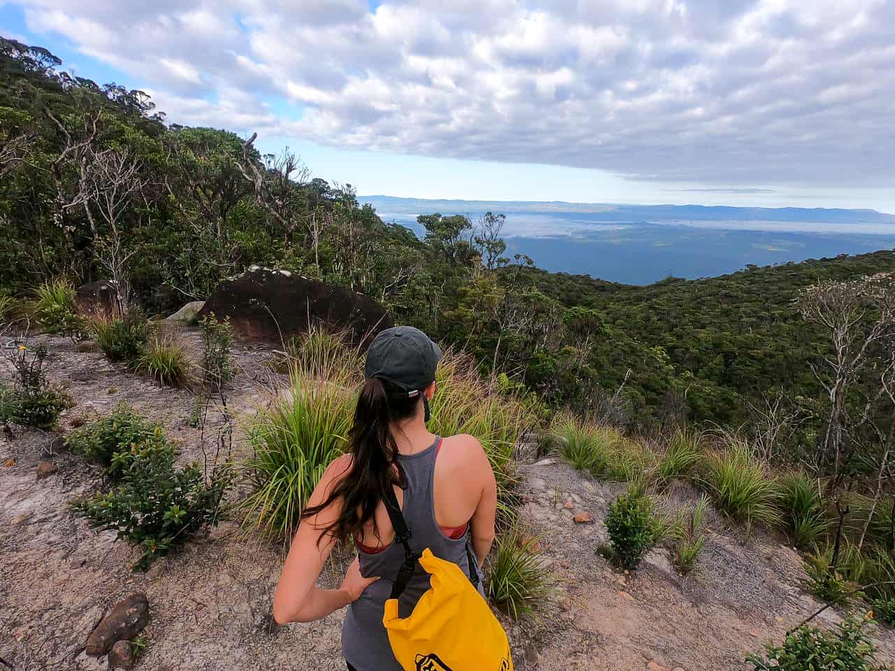 Views near Mount Bartle Frere summit along the Western Trail, Australia // Travel Mermaid