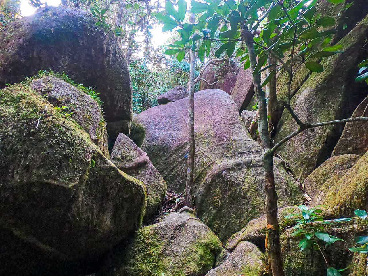 Boulders along the Western Trail at Mount Bartle Frere, Queensland, Australia // Travel Mermaid