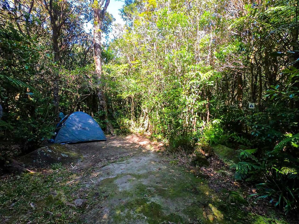 Western Summit Camp along the Mount Bartle Frere hike, Australia // Travel Mermaid