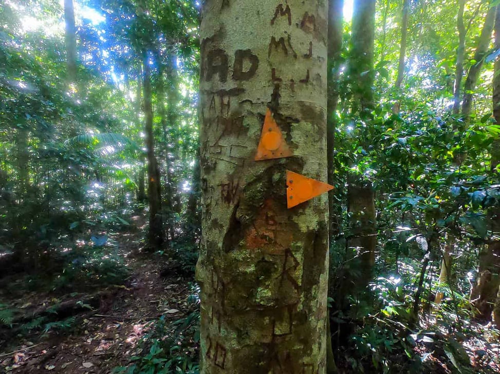Orange marker showing the detour to Bobbin Bobbin Falls // Travel Mermaid