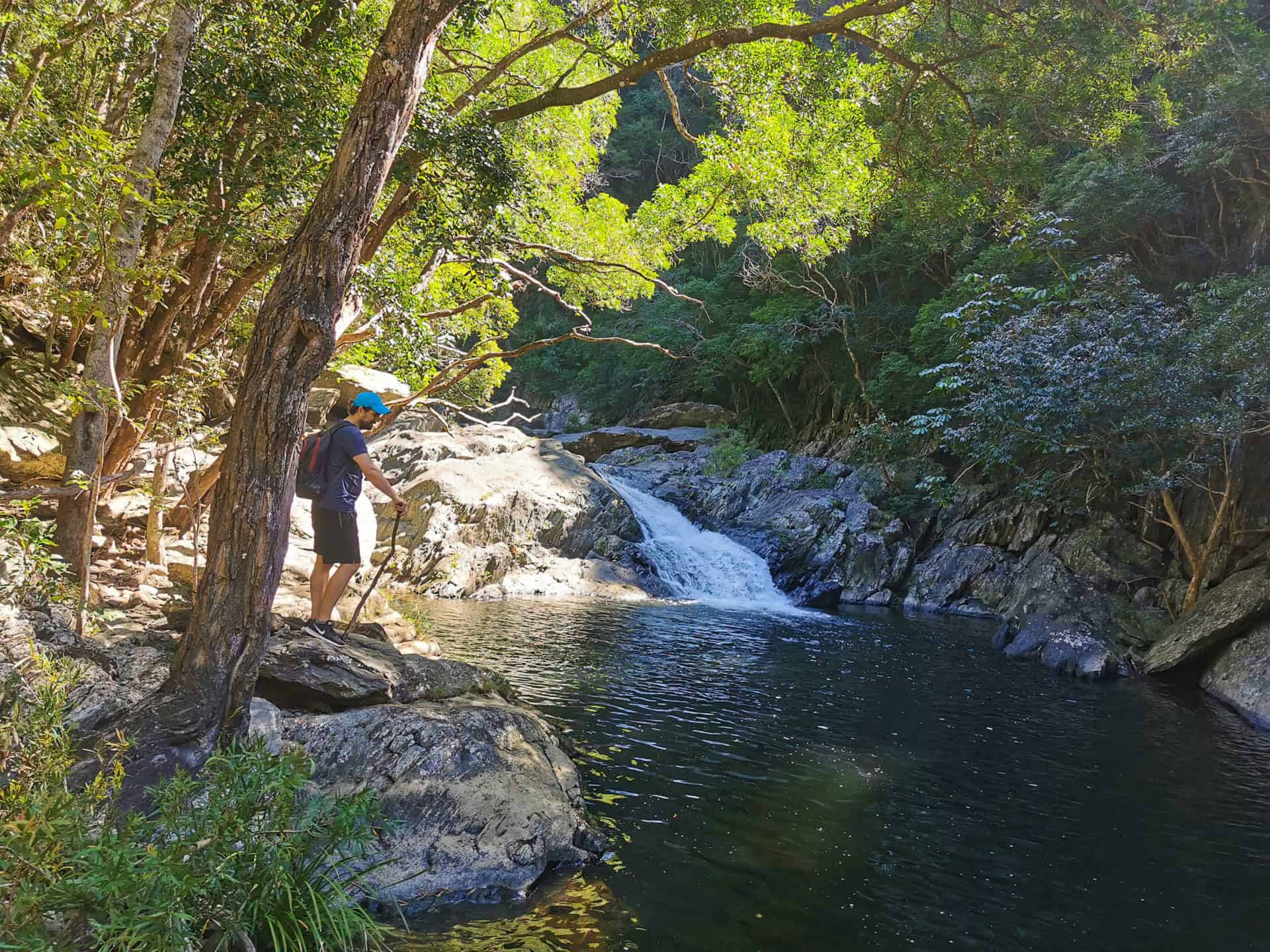 Small cascade along the Spring Creek hike in Mowbray // Travel Mermaid