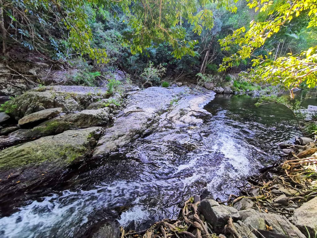 Flat Rock along the Spring Creek hike near Port Douglas // TravelMermaid
