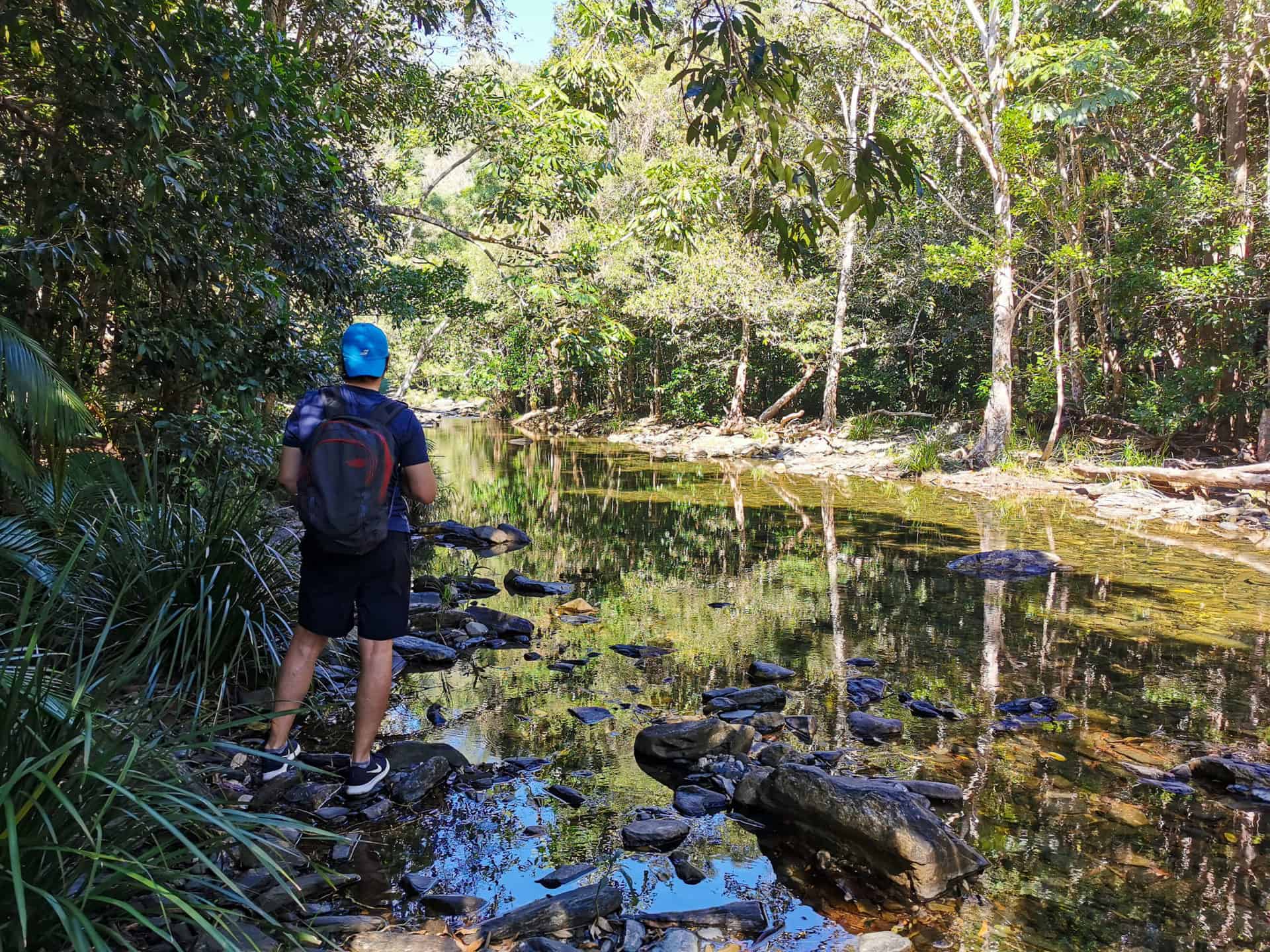 Spring Creek hike near Port Douglas // Travel Mermaid