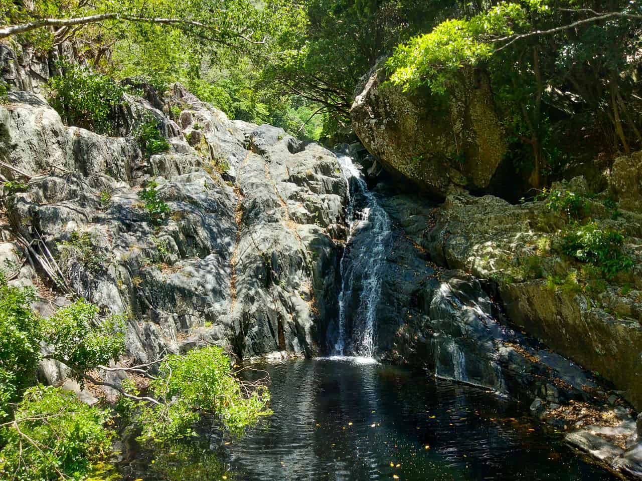 The 'faux' fall along the Spring Creek hiking trail in Port Douglas, Queensland - Australia // Travel Mermaid
