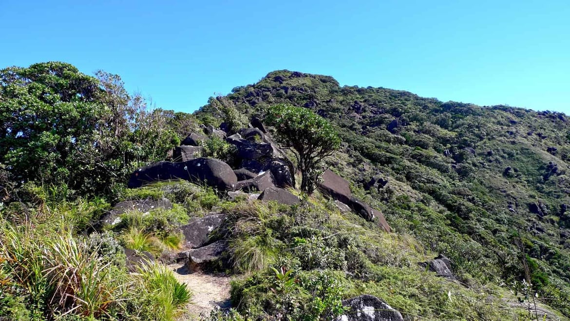 The Boulder Field along the Eastern Trail - photo by: mntviews.blogspot.com