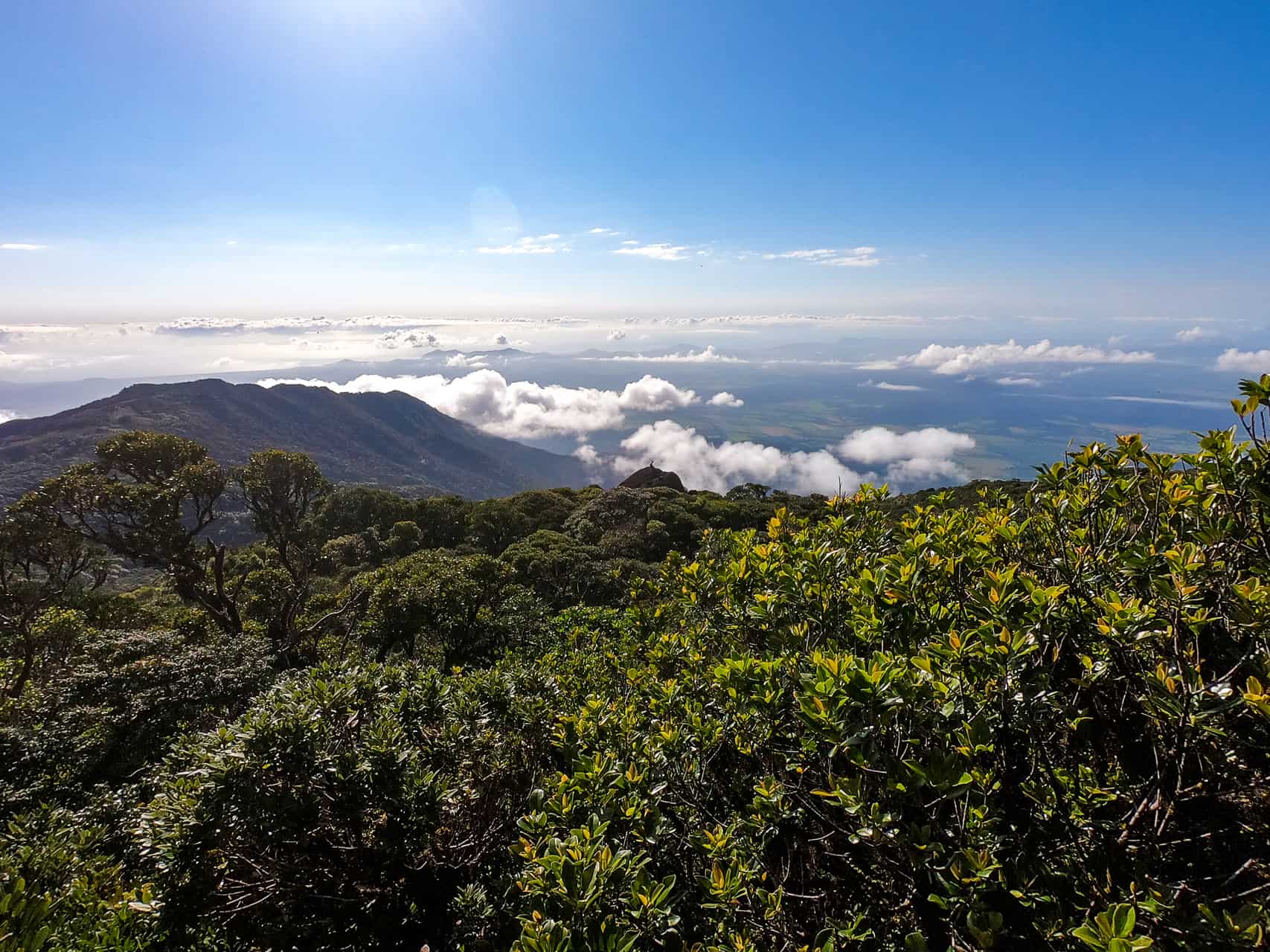 Mount Bartle Frere summit in Far North Queensland, Australia // Travel Mermaid