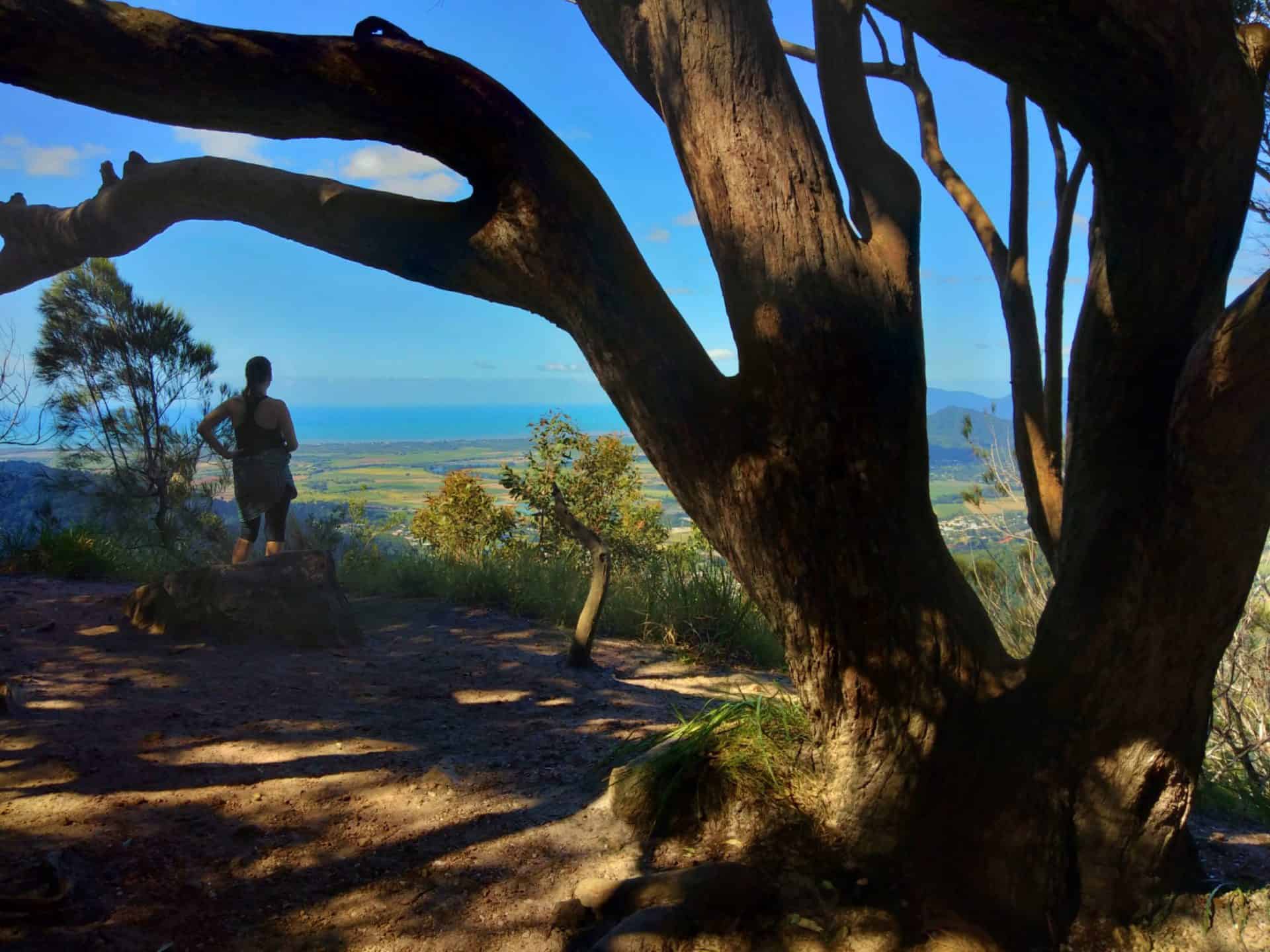 White Rock Lookout on the Douglas Track, Barron Gorge National Park // Travel Mermaid