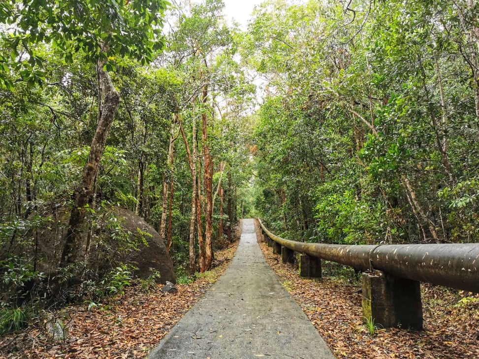 Behana Gorge Walking Trail near Cairns // Travel Mermaid