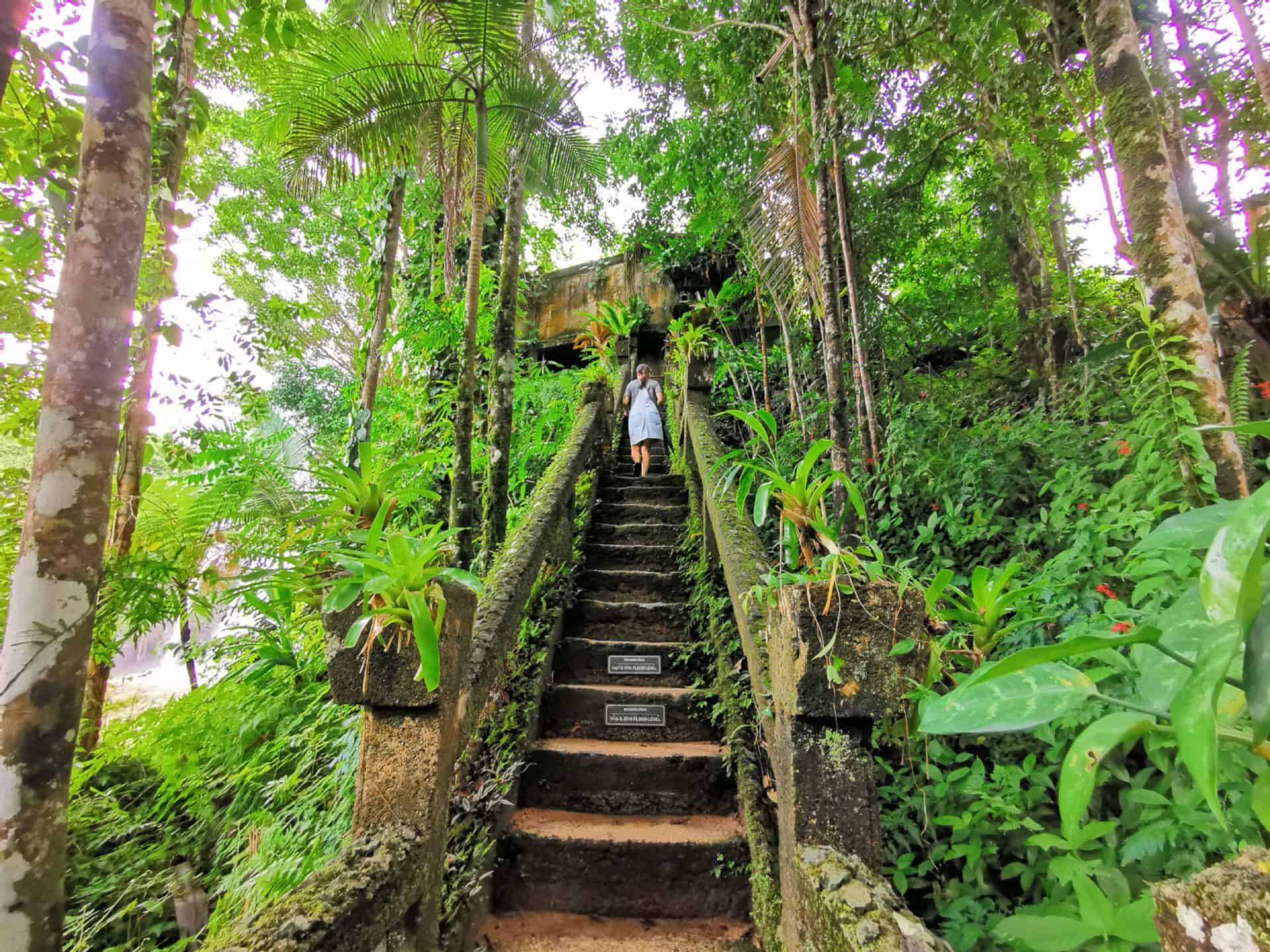 Grant Stairwell at Paronella Park // Travel Mermaid