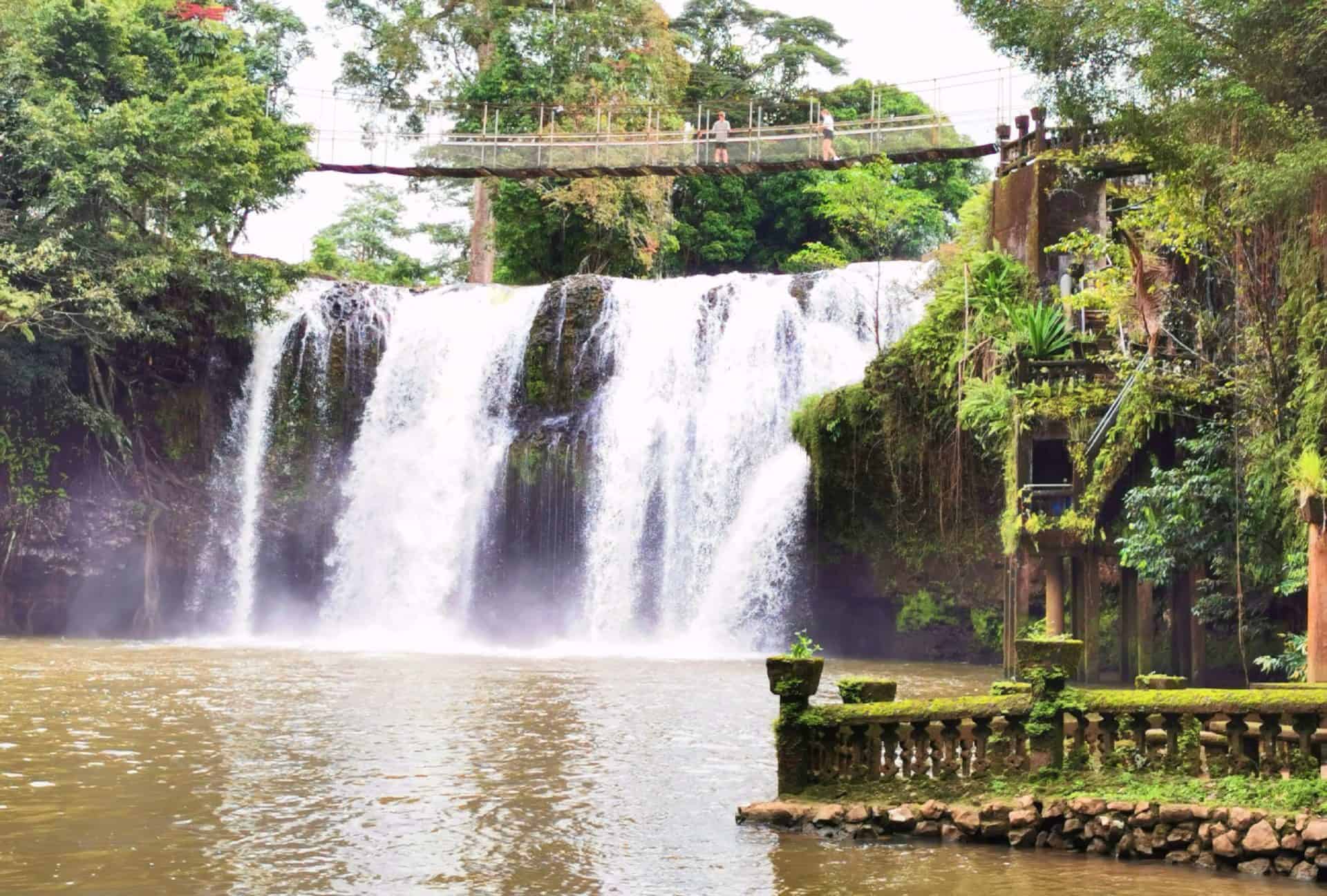 View of Mena Creek Falls from Paronella Park // Travel Mermaid