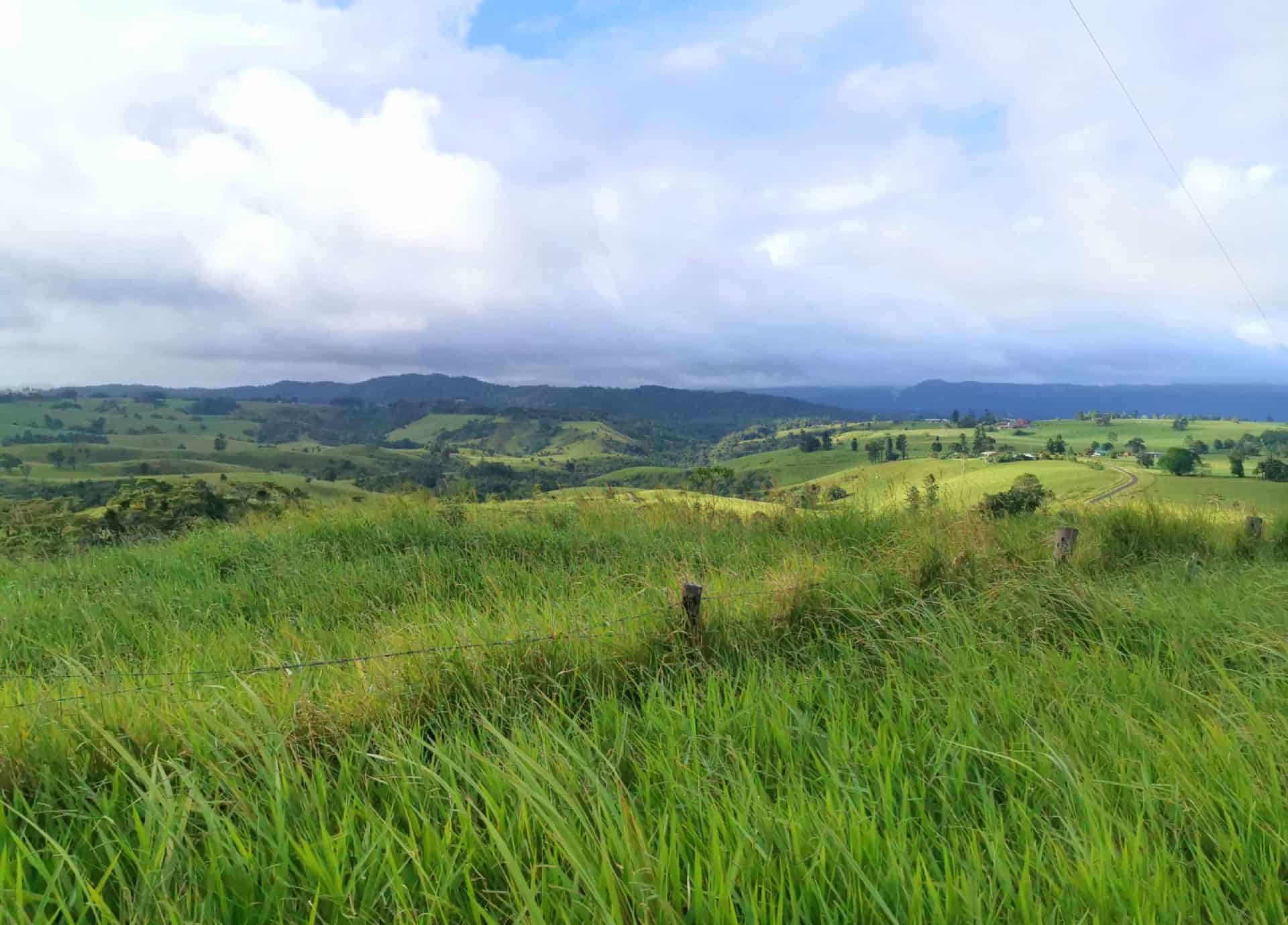 Beautiful rolling hills around Mungalli Creek in the Atherton Tablelands // Travel Mermaid