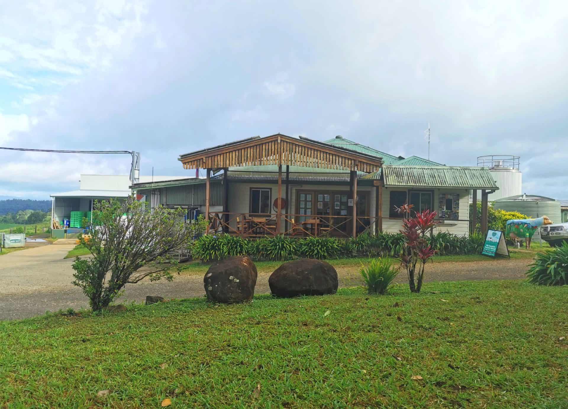 Mungalli Creek Dairy in the Atherton Tablelands // Travel Mermaid