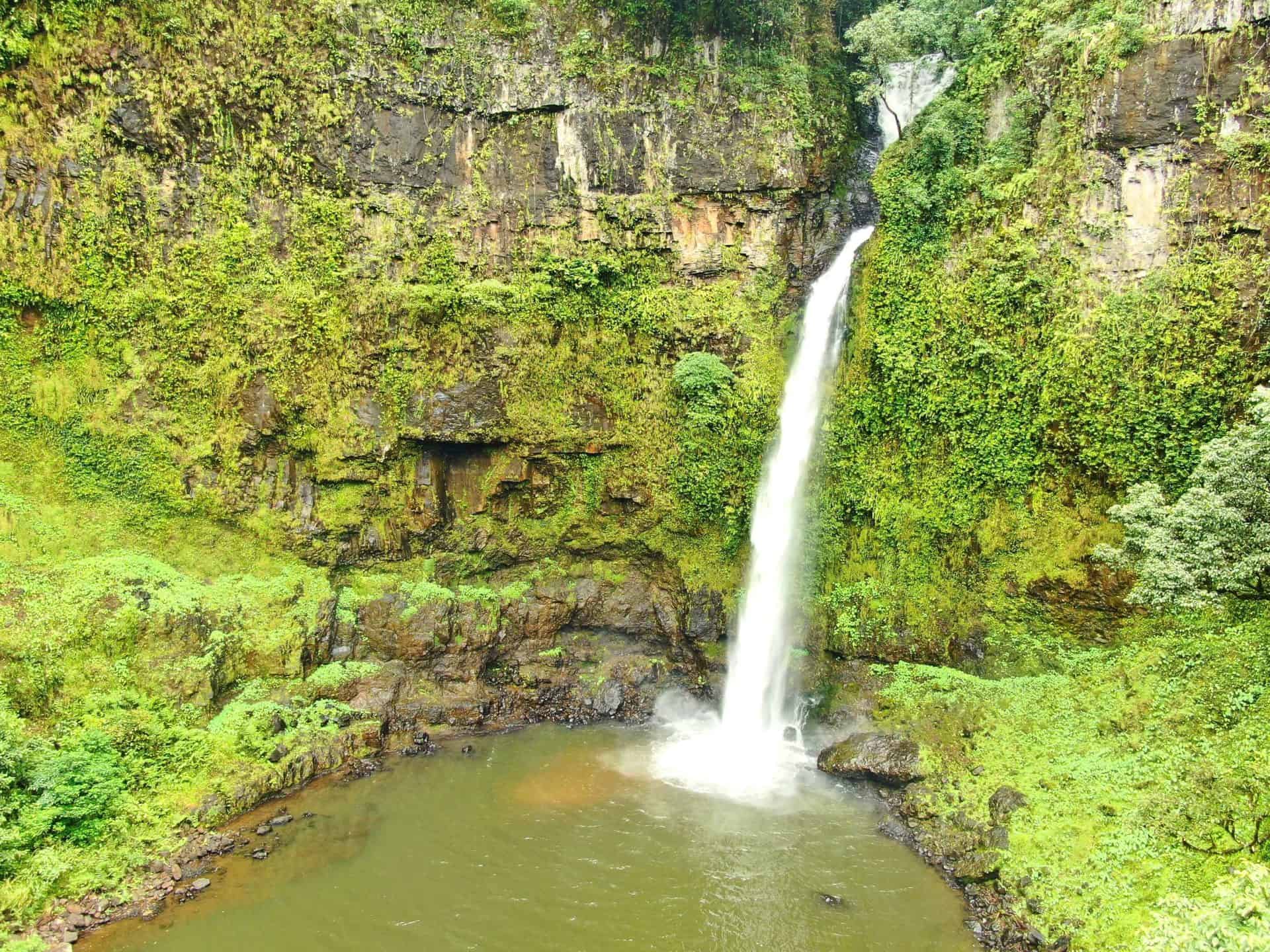 Nandroya Falls near Cairns // Travel Mermaid