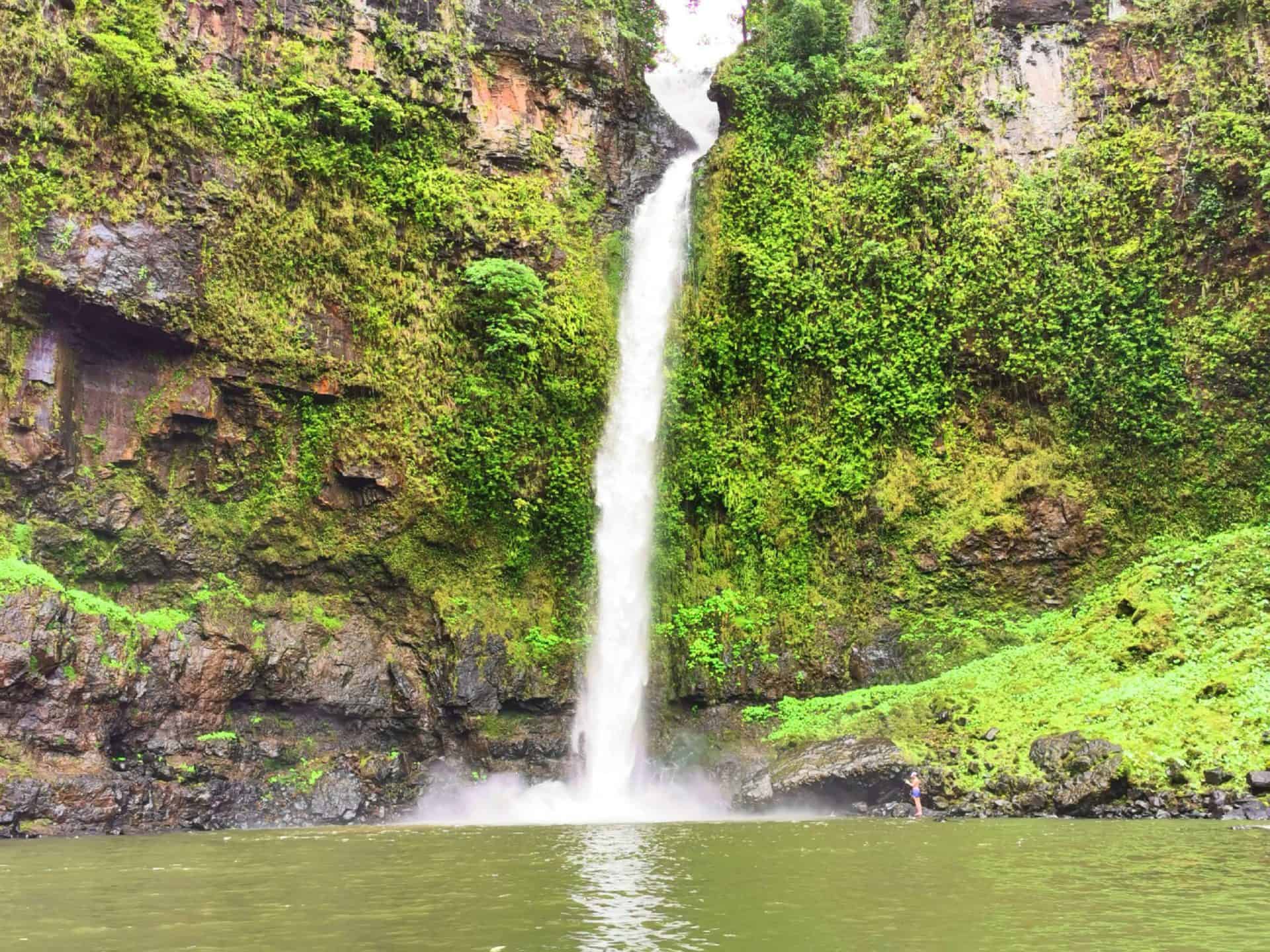 Nandroya Falls near Cairns // Travel Mermaid