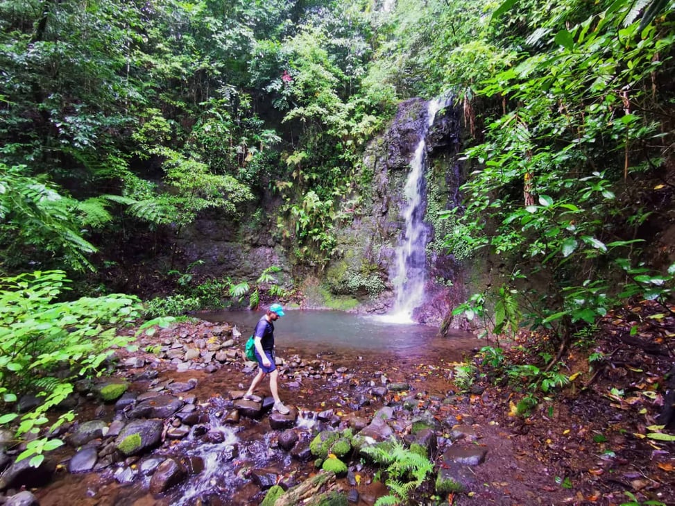 Silver Falls near Nandroya Falls // Travel Mermaid
