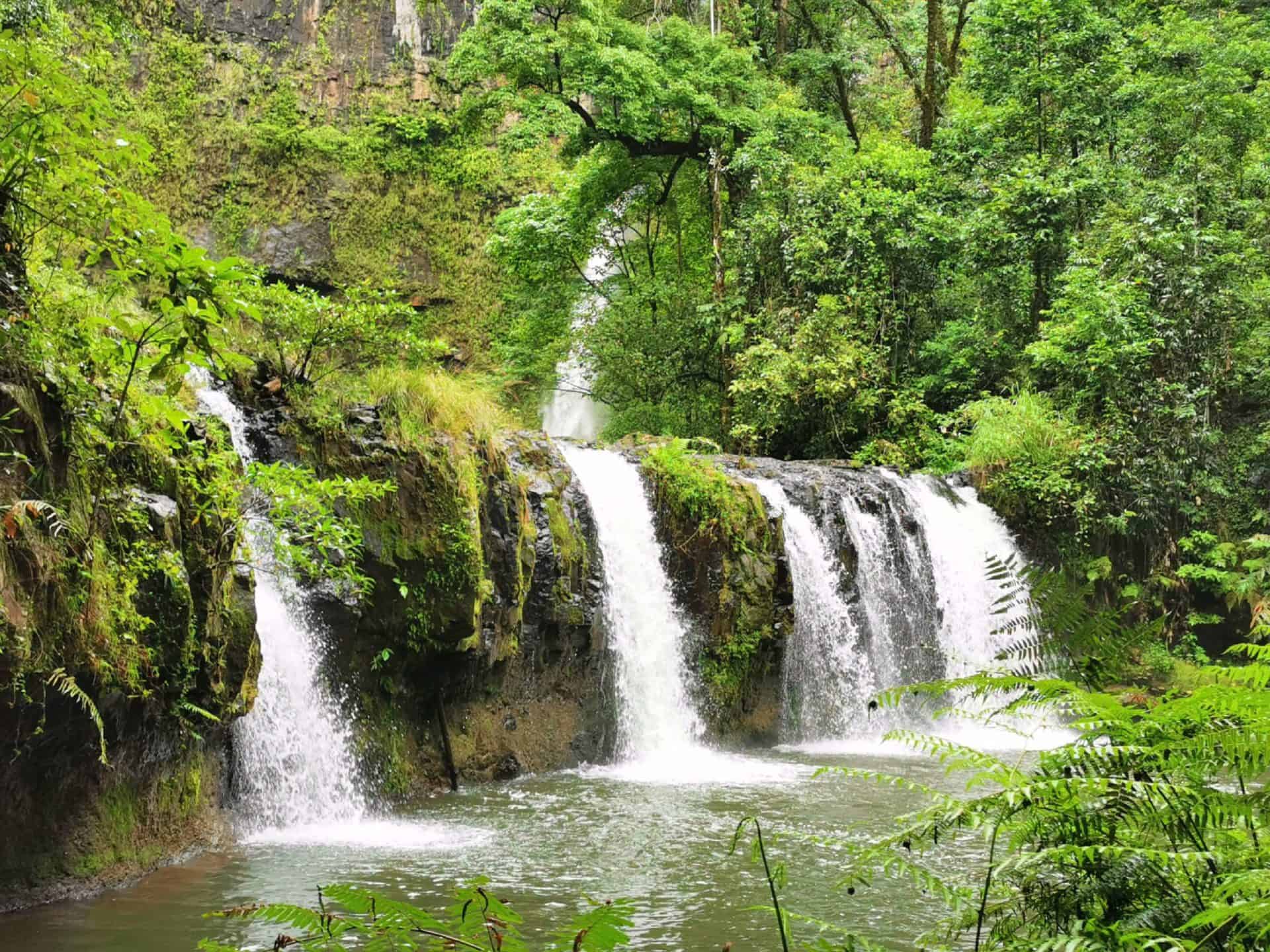 Lower half of Nandroya waterfall near Cairns // Travel Mermaid