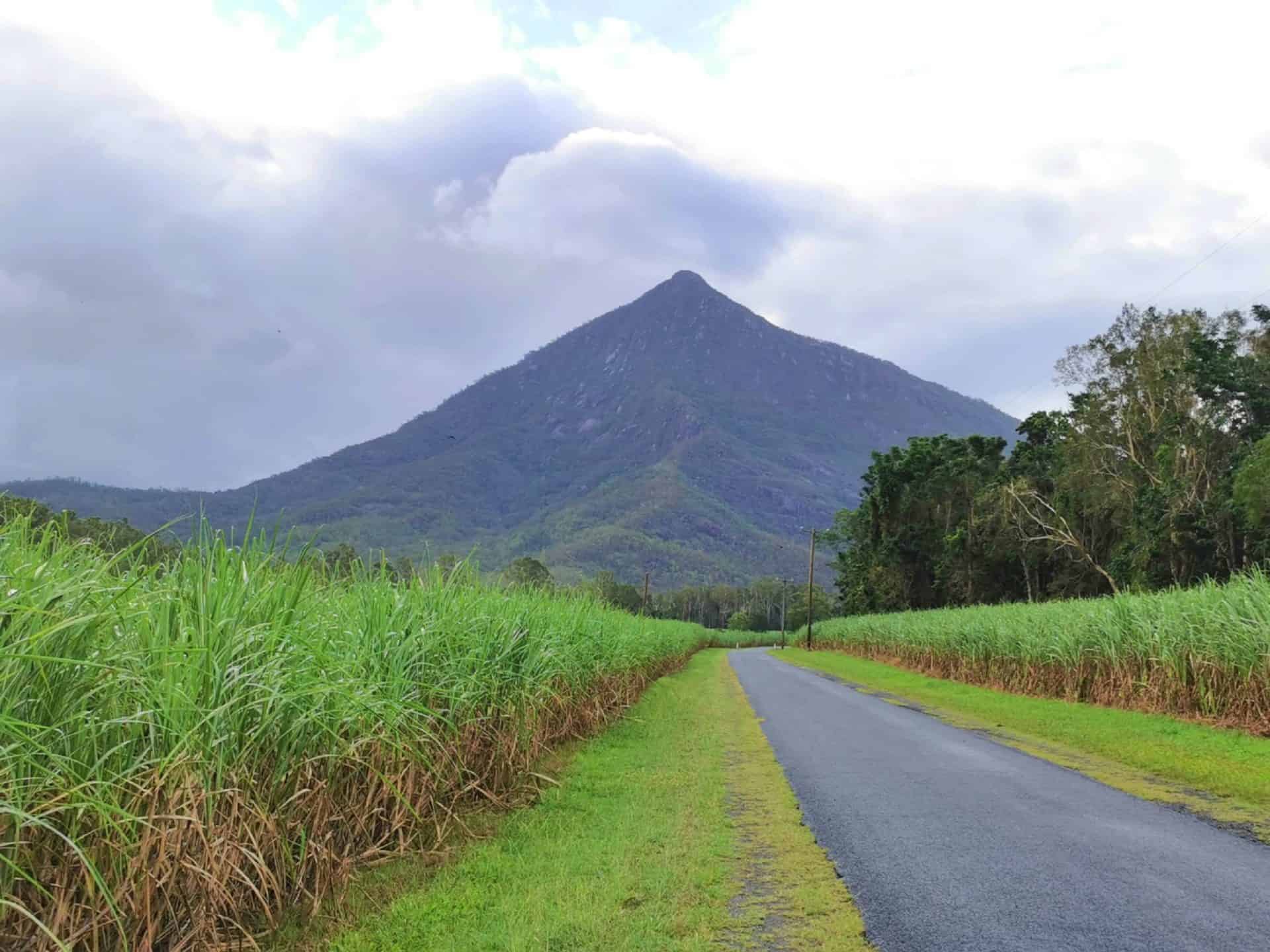 Walsh's Pyramid near Cairns // Travel Mermaid