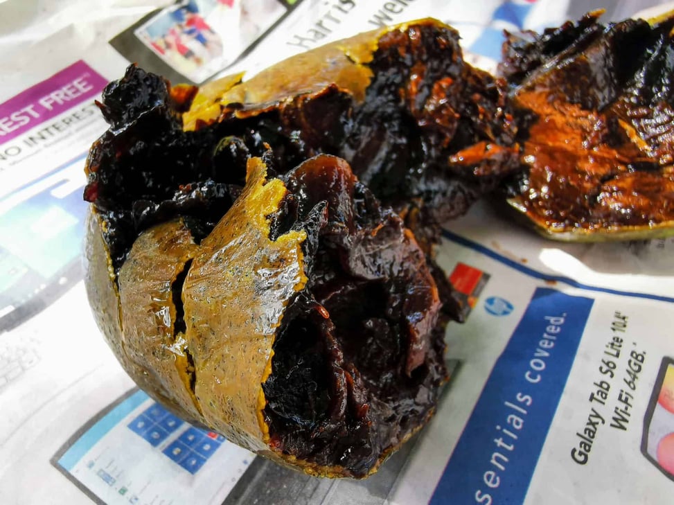 Black sapote fruit with Walkabout Cultural Adventures // Travel Mermaid