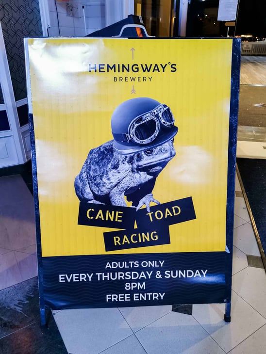Cane toad race at Hemingway's Brewery in Port Douglas // Travel Mermaid