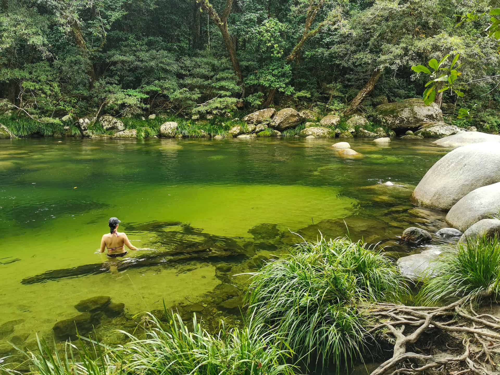 Rock Pool at Mossman Gorge near Port Douglas // Travel Mermaid