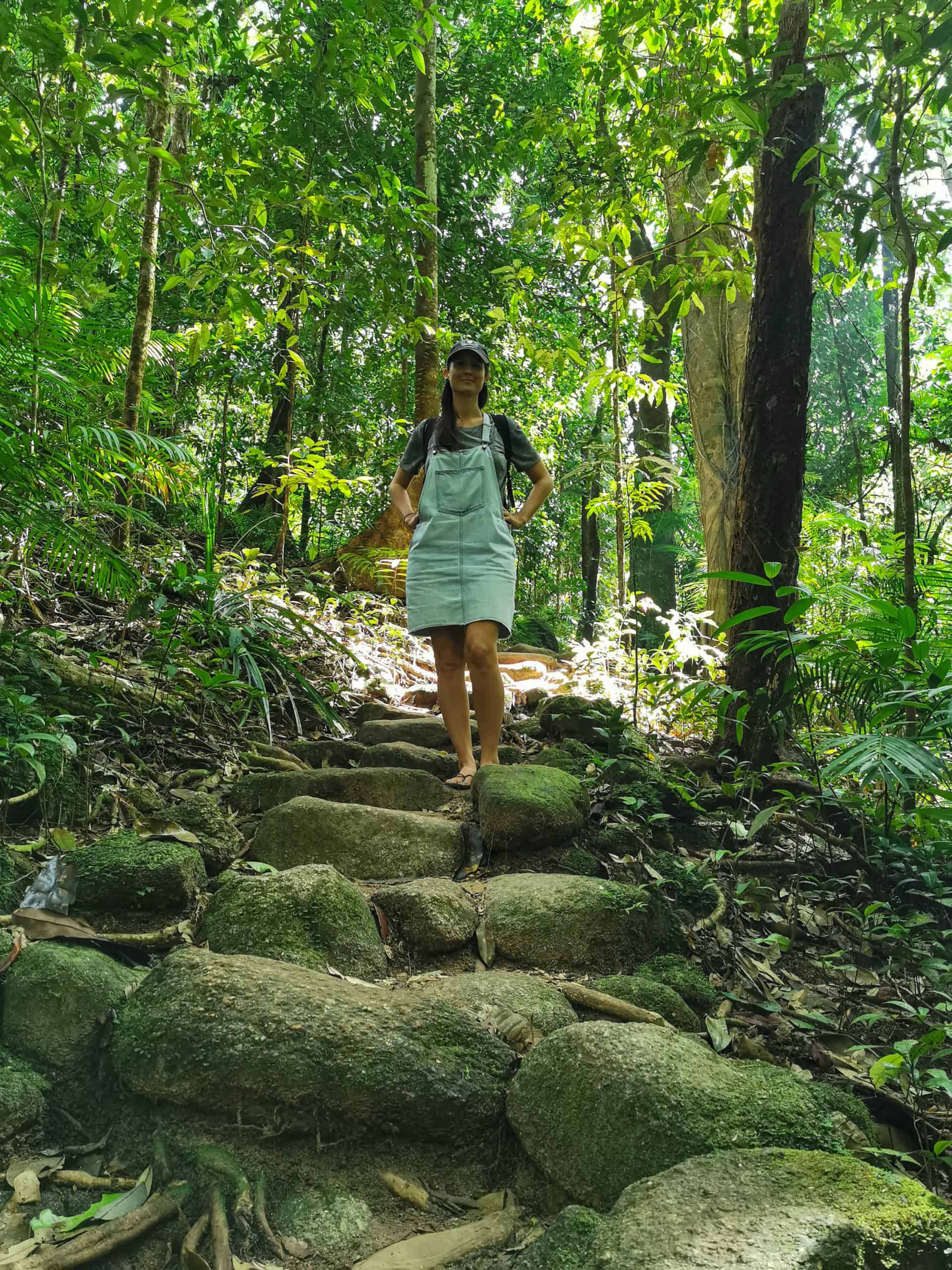 Mossman Gorge walking trail // Travel Mermaid