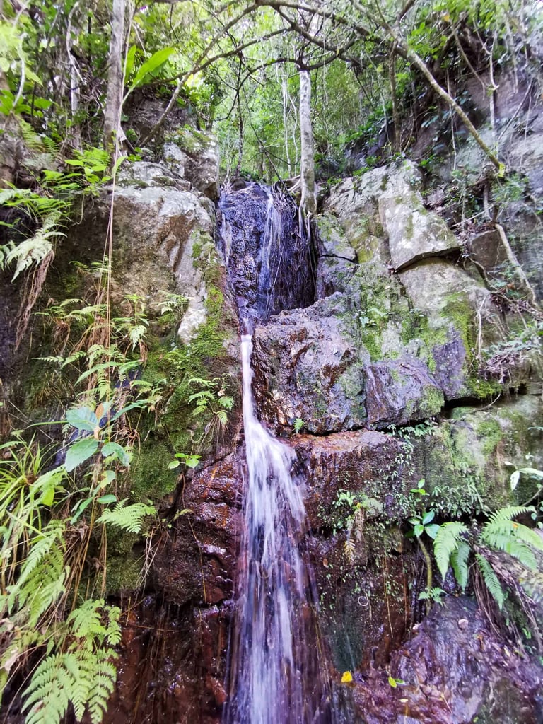 Crystal Cascades walk in Cairns // Travel Mermaid