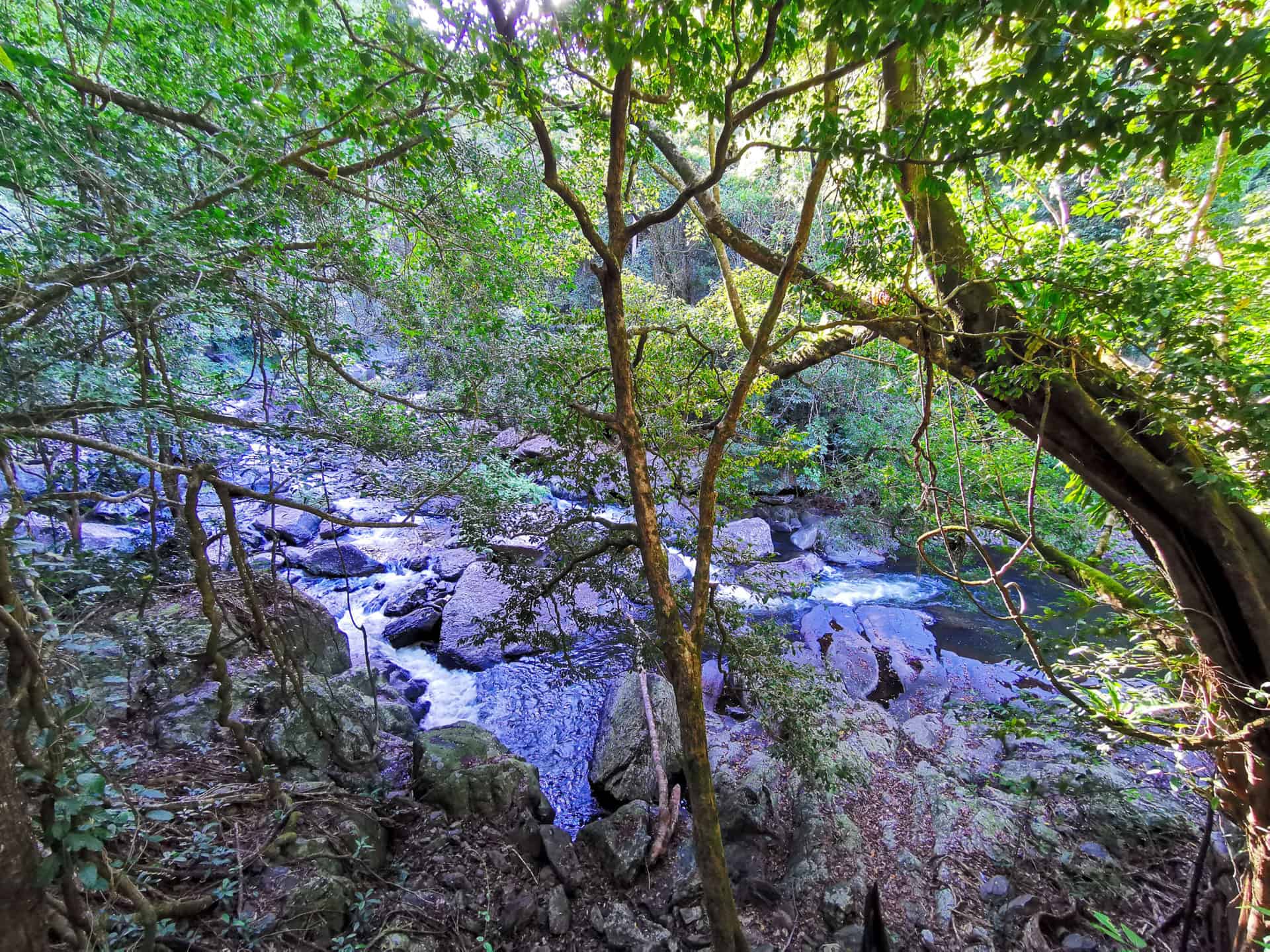 Crystal Cascades walk in Cairns // Travel Mermaid