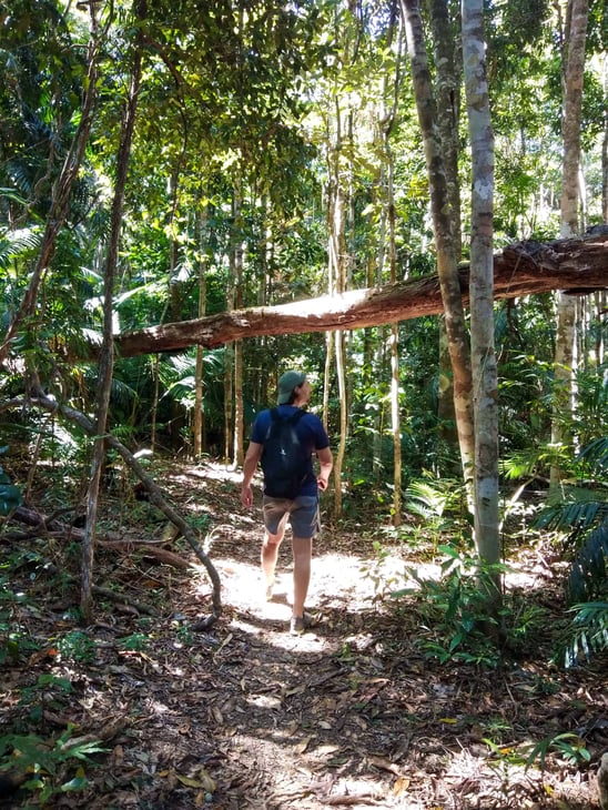 Douglas Track at Barron Gorge National Park in Kuranda, Cairns // Travel Mermaid