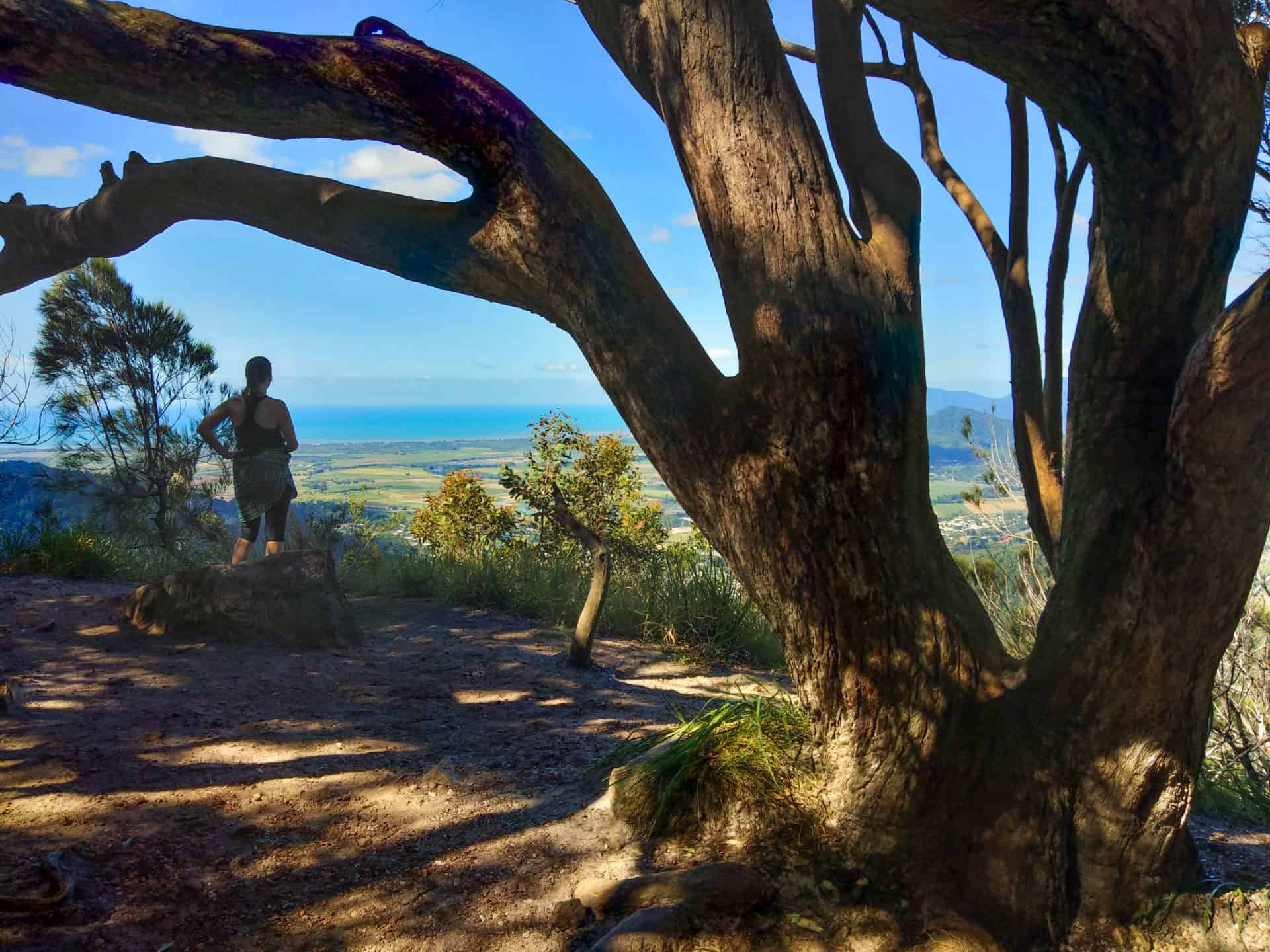 Glacier Rock Lookout at Barron Gorge National Park, Kuranda // Travel Mermaid