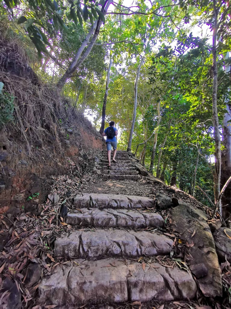 Earl Hill Summit Track in Trinity Park // Travel Mermaid