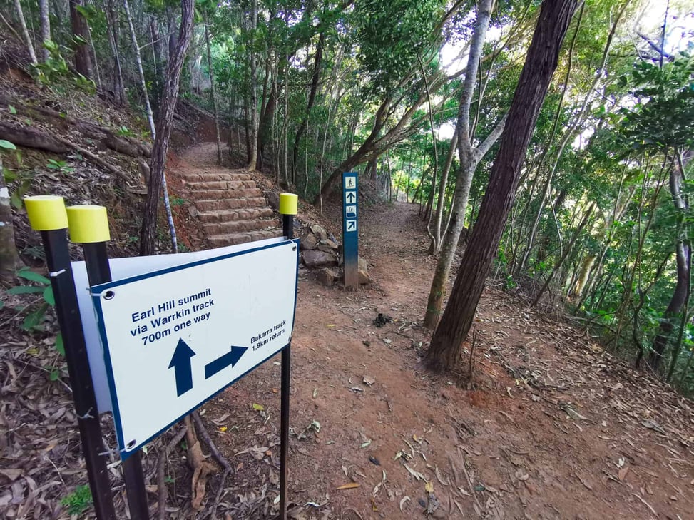 Earl Hill Summit trail junction // Travel Mermaid