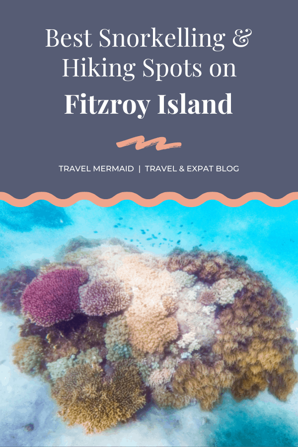 Best snorkelling and hiking spots on Fitzroy Island // Travel Mermaid
