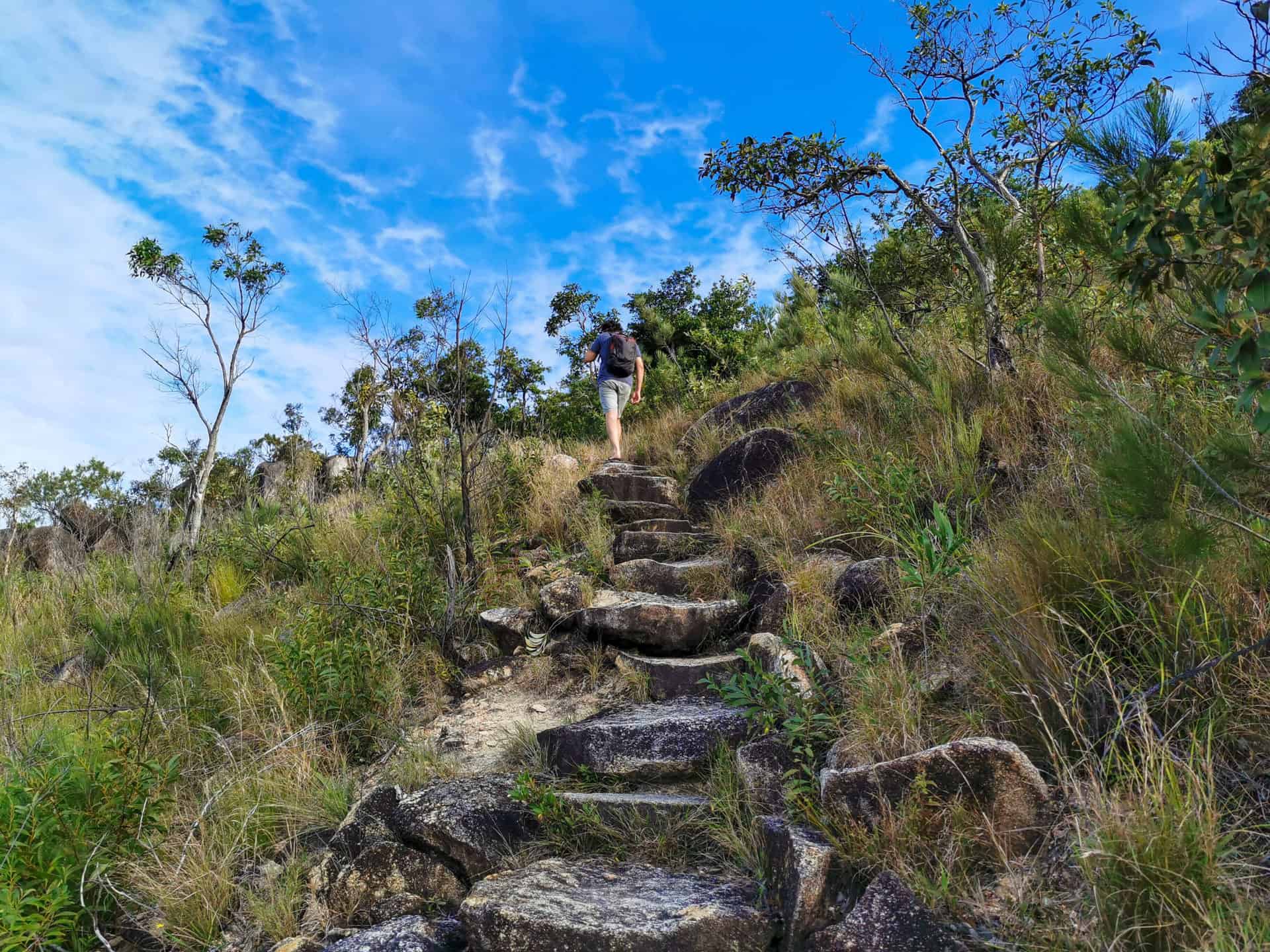 Hiking the Fitzroy Island summit track, Cairns // Travel Mermaid