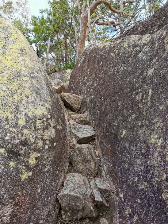 Hiking the Fitzroy Island summit track, Cairns // Travel Mermaid