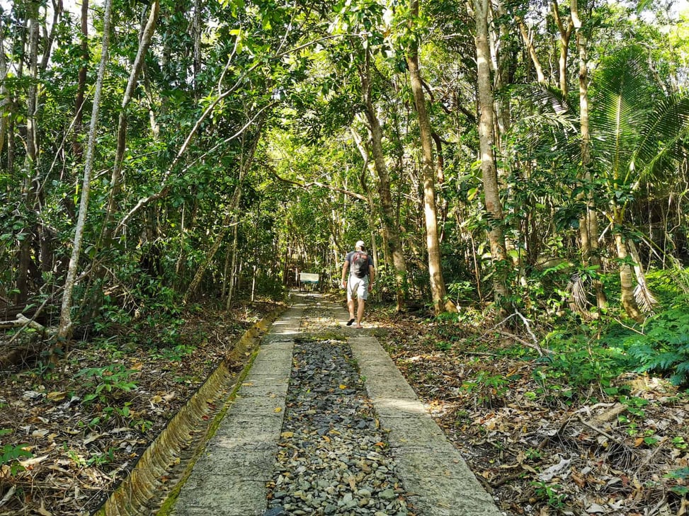 Hiking the Fitzroy Island summit track, Cairns // Travel Mermaid