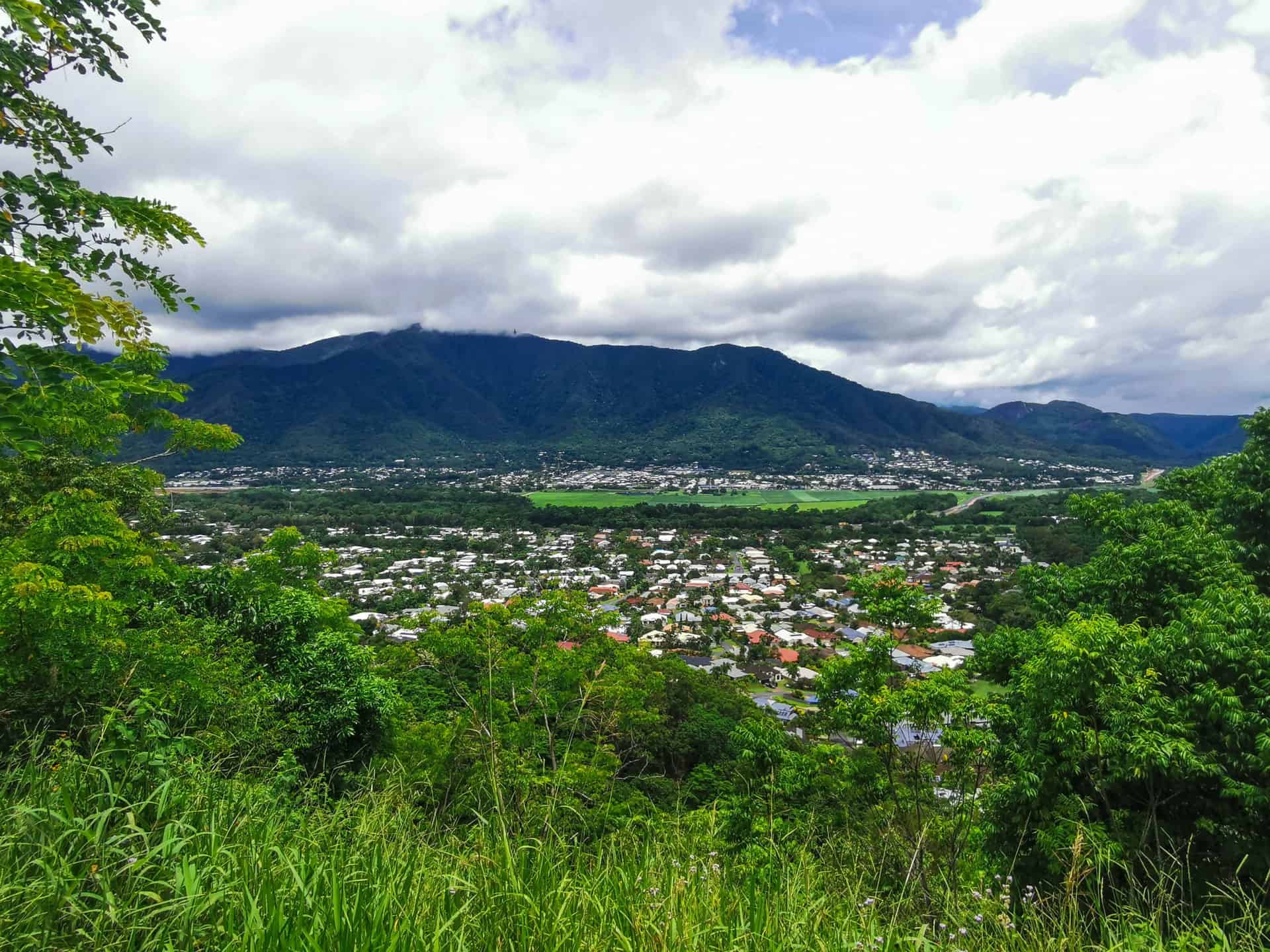 Views at Green Arrow Track, Mount Whitfield National Park in Cairns // Travel Mermaid