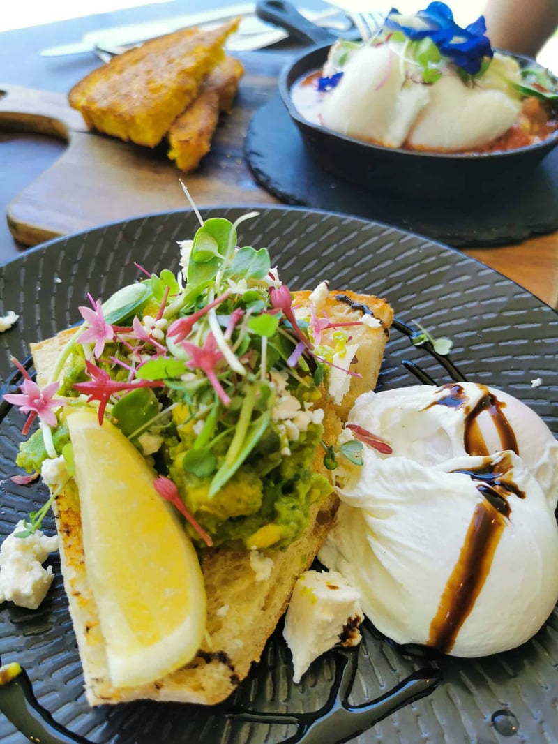 Lunch at Ozmosis eatery in Edge Hill, Cairns // Travel Mermaid